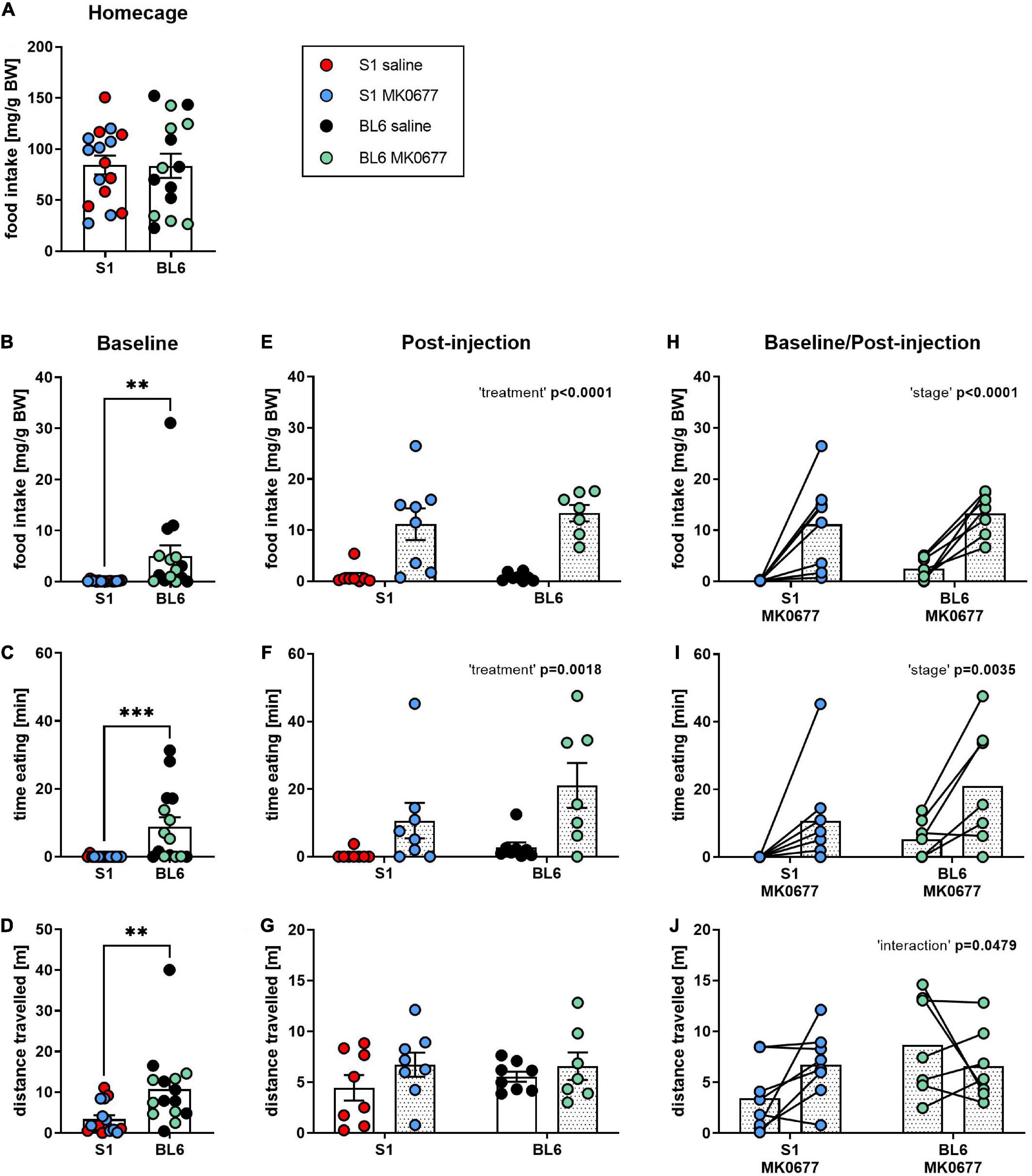 Ghrelin receptor agonist MK0677 and overnight fasting do not rescue deficient fear extinction in 129S1/SvImJ mice